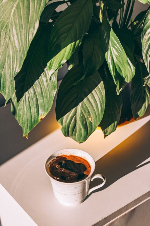 Simple Ways to Create a Calming Morning Routine That Boosts Productivity Throughout the Day